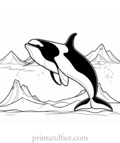 orca coloring page winter