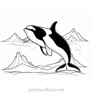 orca coloring page winter