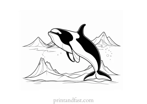 orca coloring page winter