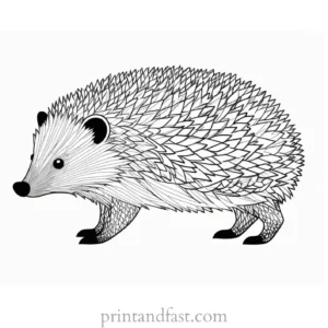 patterned hedgehog coloring page