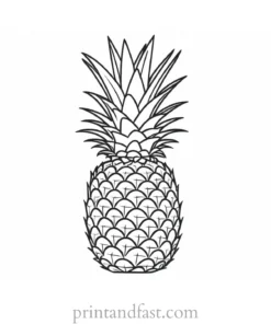 pineapple coloring page advanced