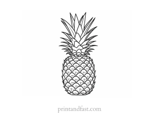 pineapple coloring page advanced