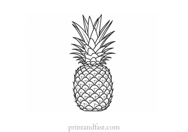 pineapple coloring page advanced