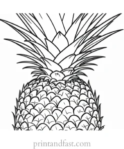 pineapple coloring page creative