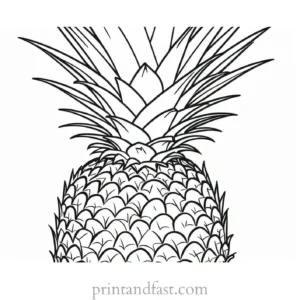 pineapple coloring page creative