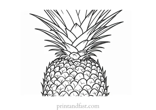 pineapple coloring page creative