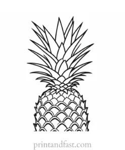 pineapple coloring page detailed