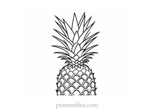 pineapple coloring page detailed