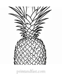 pineapple coloring page easy