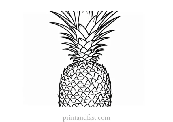 pineapple coloring page easy