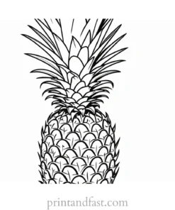 pineapple coloring page for adults