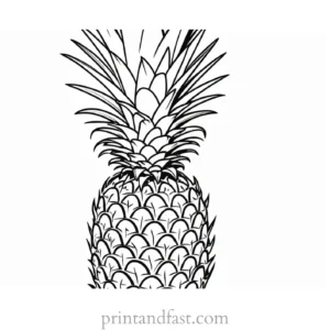 pineapple coloring page for adults