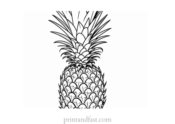 pineapple coloring page for adults