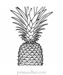 pineapple coloring page free