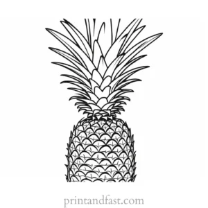 pineapple coloring page free