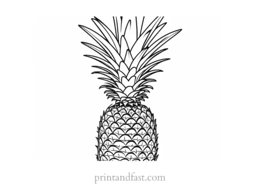 pineapple coloring page free