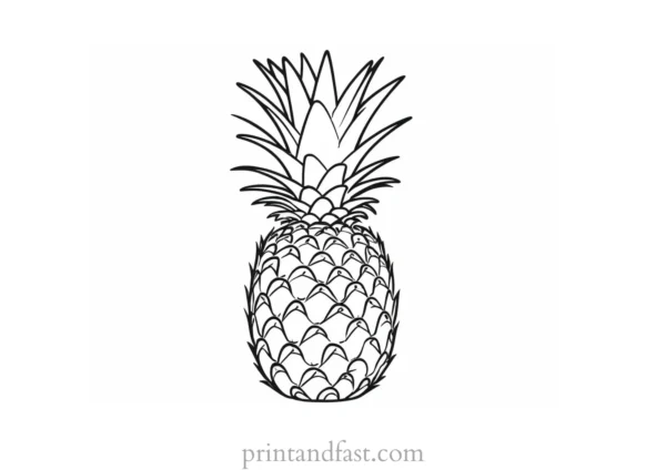 pineapple coloring page fun