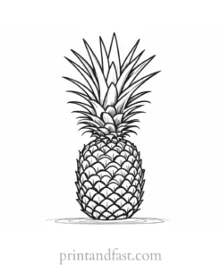 pineapple coloring page outline