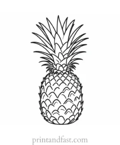 pineapple coloring page summer