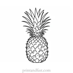 pineapple coloring page summer