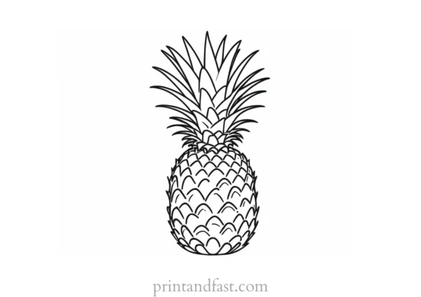 pineapple coloring page summer