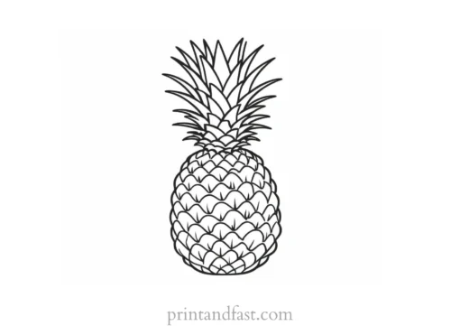 pineapple coloring page tropical