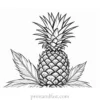 pineapple coloring page with leaves