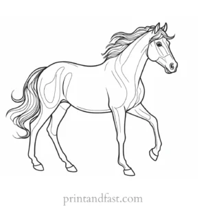 pony coloring page colorful