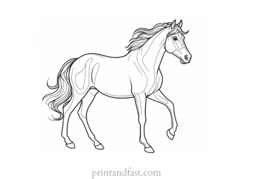 pony coloring page colorful