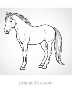 pony coloring page cute