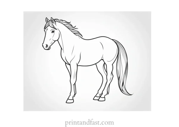 pony coloring page cute