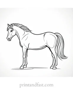 pony coloring page easy