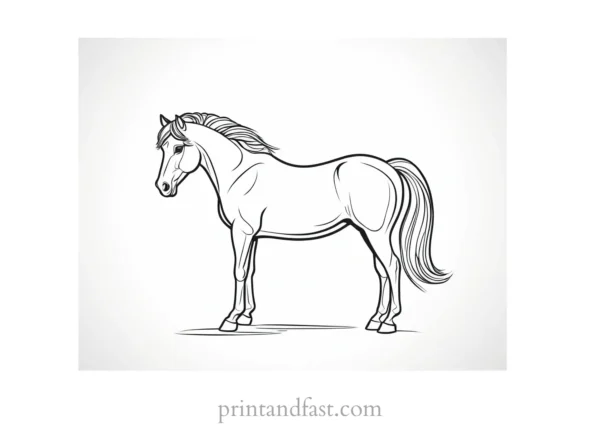 pony coloring page easy