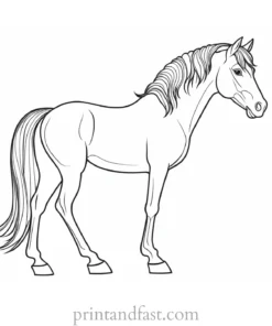 pony coloring page girly