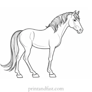 pony coloring page girly