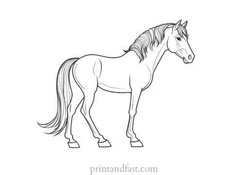 pony coloring page girly