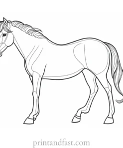 pony coloring page intricate