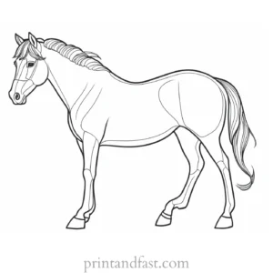 pony coloring page intricate