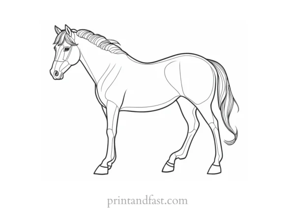 pony coloring page intricate