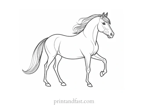 pony coloring page magical