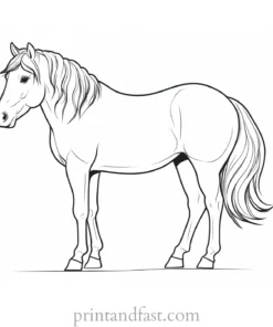 pony coloring page online