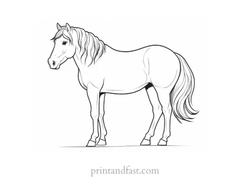 pony coloring page online