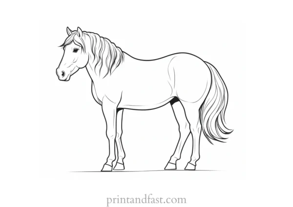 pony coloring page online