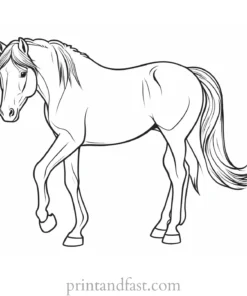 pony coloring page realistic