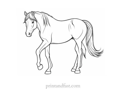 pony coloring page realistic