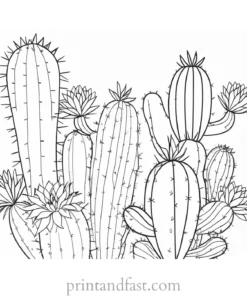 printable Cactus Coloring Page