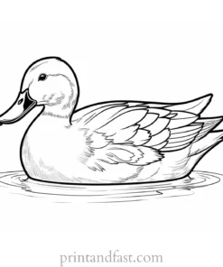 printable duck coloring page