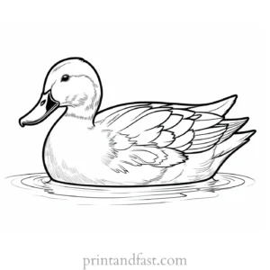 printable duck coloring page