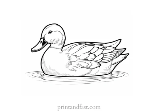 printable duck coloring page