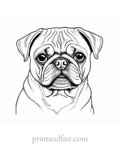 pug coloring page adult